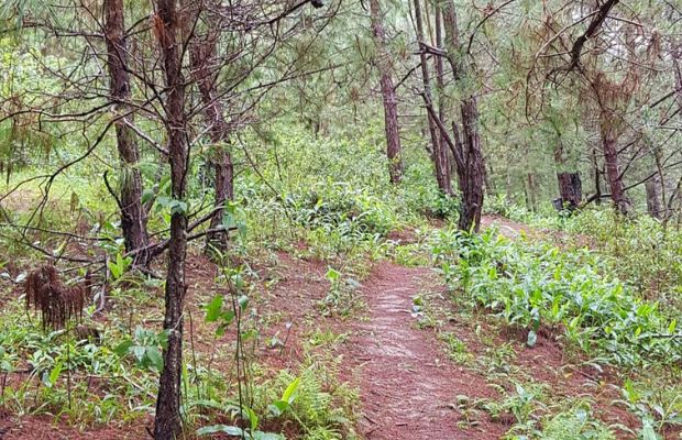 Lang Biang trekking route